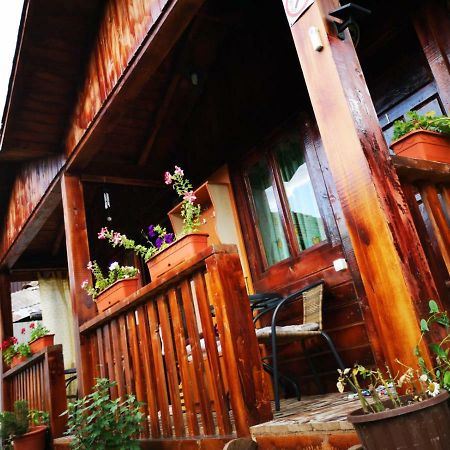Casa Bunicilor Hotel Călimăneşti Exterior foto